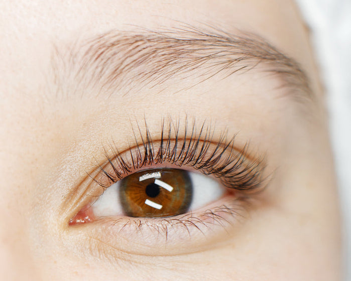 Lash Lift & Tint