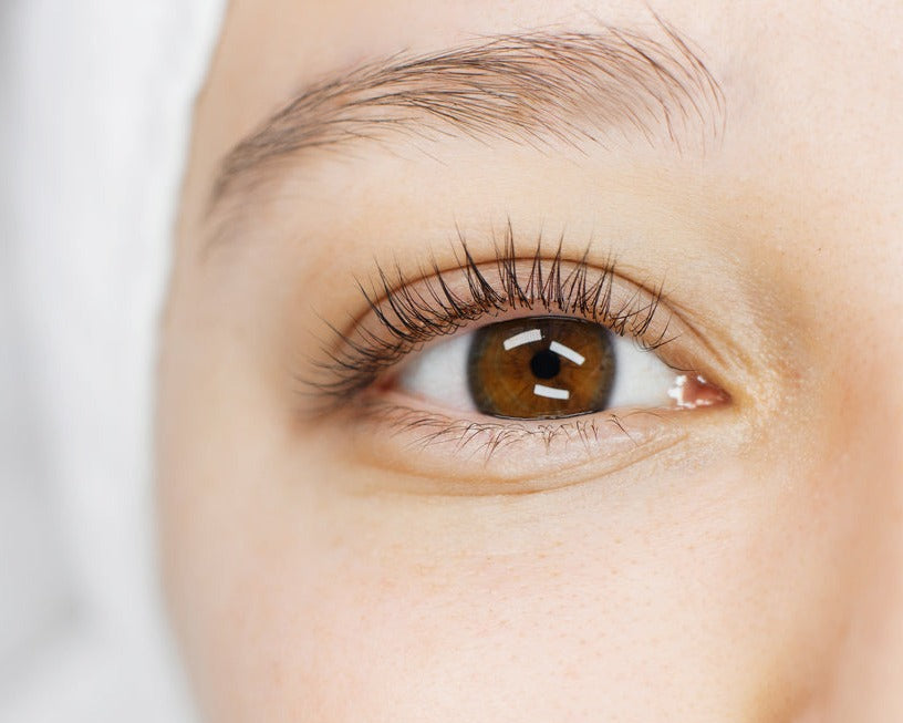 Eyelash Tinting